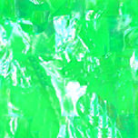 Mint Green Paua